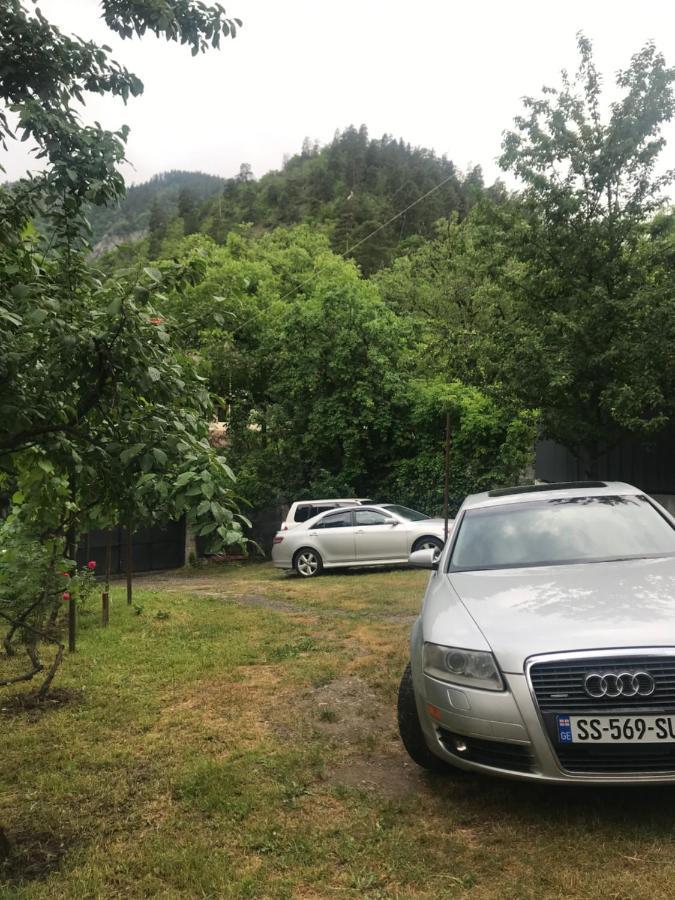 Zviad Guest House Borjomi Exterior foto