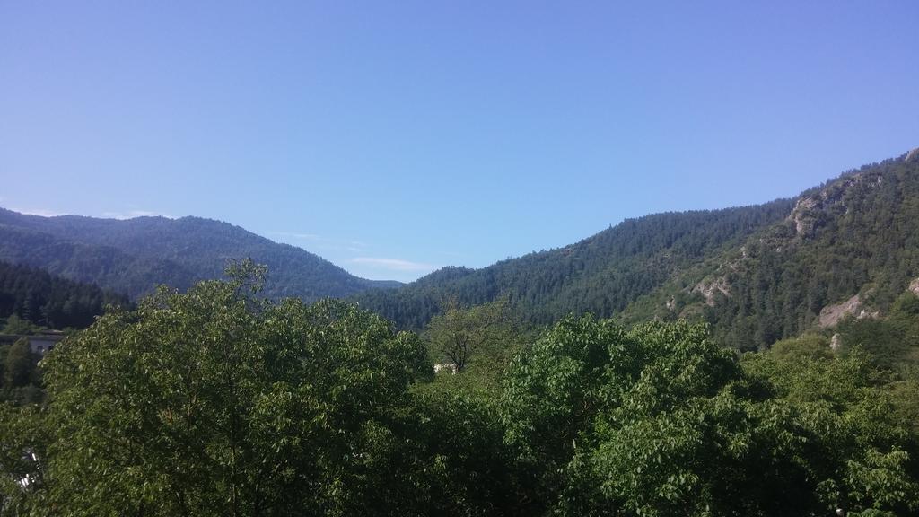 Zviad Guest House Borjomi Exterior foto